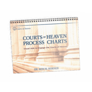 Courts of Heaven Process Charts (Spiral Edition)