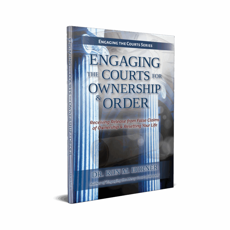 Engaging the Courts for Ownership & Order (Paperback)