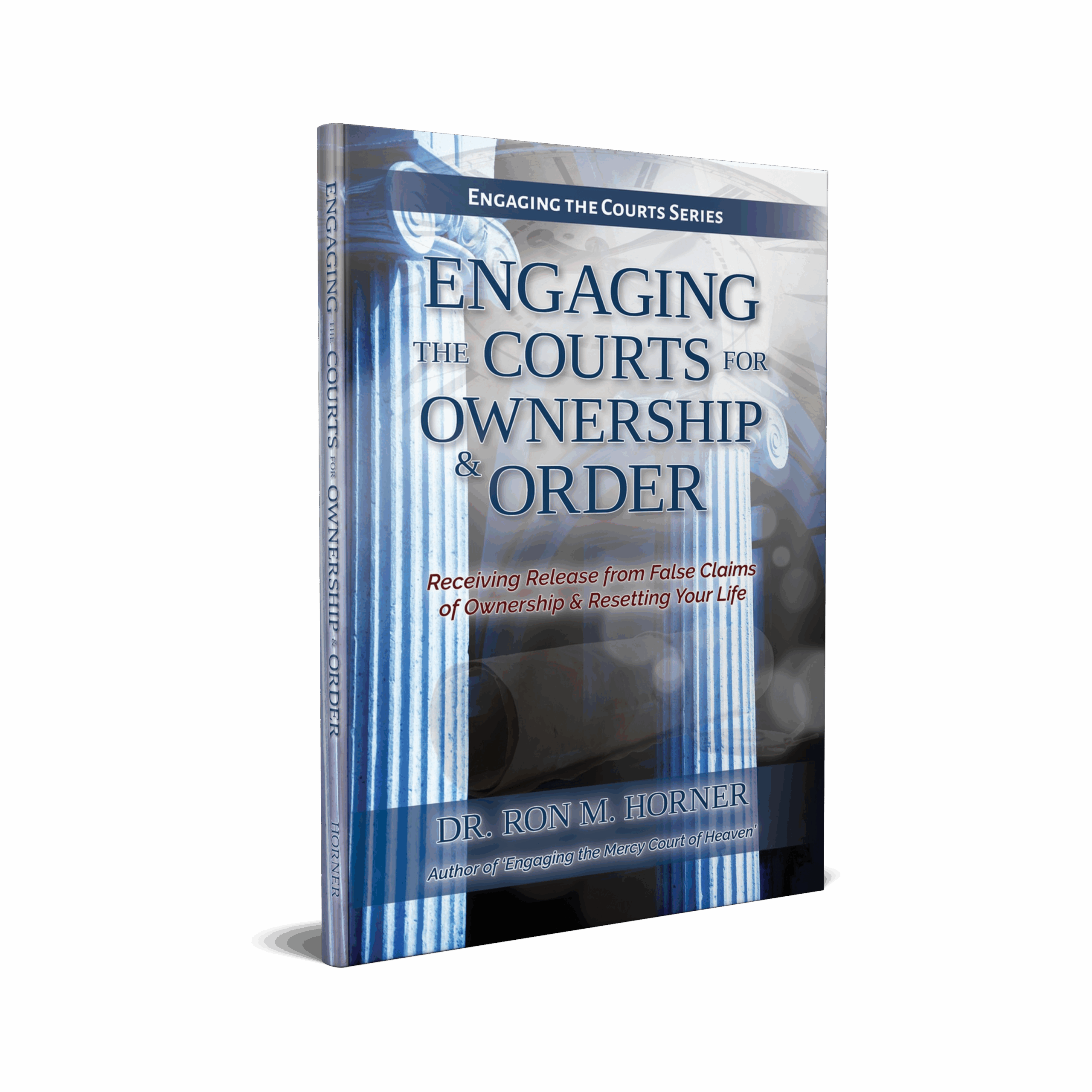 Engaging the Courts for Ownership & Order (Paperback)