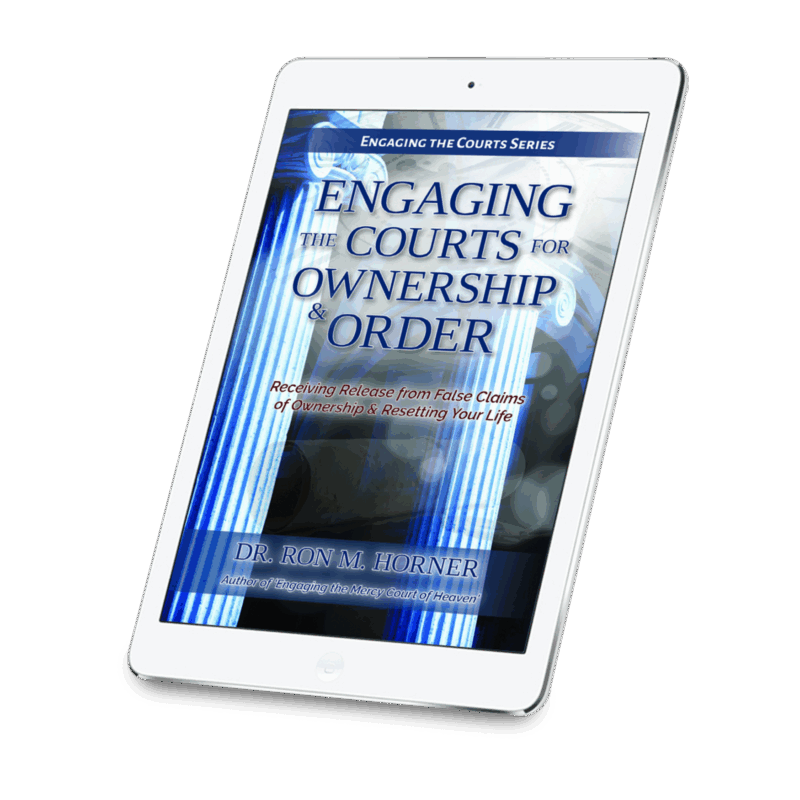 Engaging the Courts for Ownership & Order (Kindle Edition)