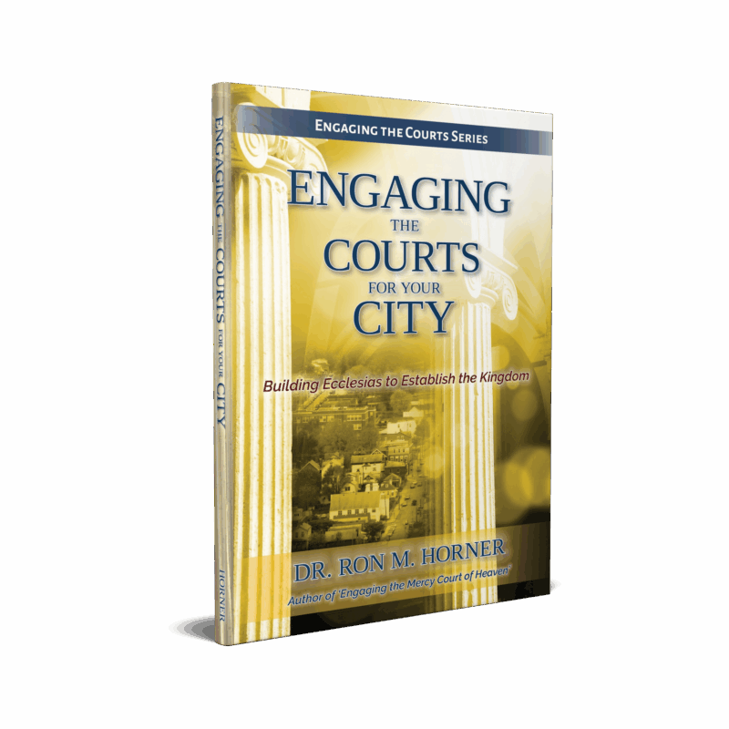 Engaging the Courts for Your City (Paperback)