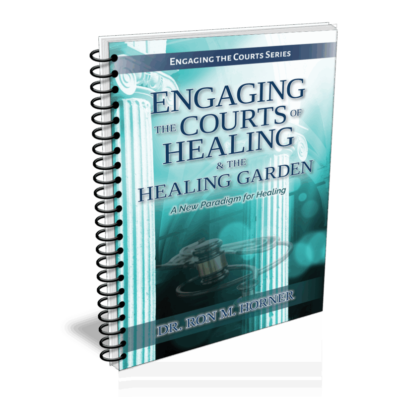 Engaging the Courts of Healing & the Healing Garden (Spiral Edition)