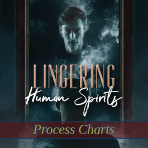 Lingering Human Spirits Process Charts