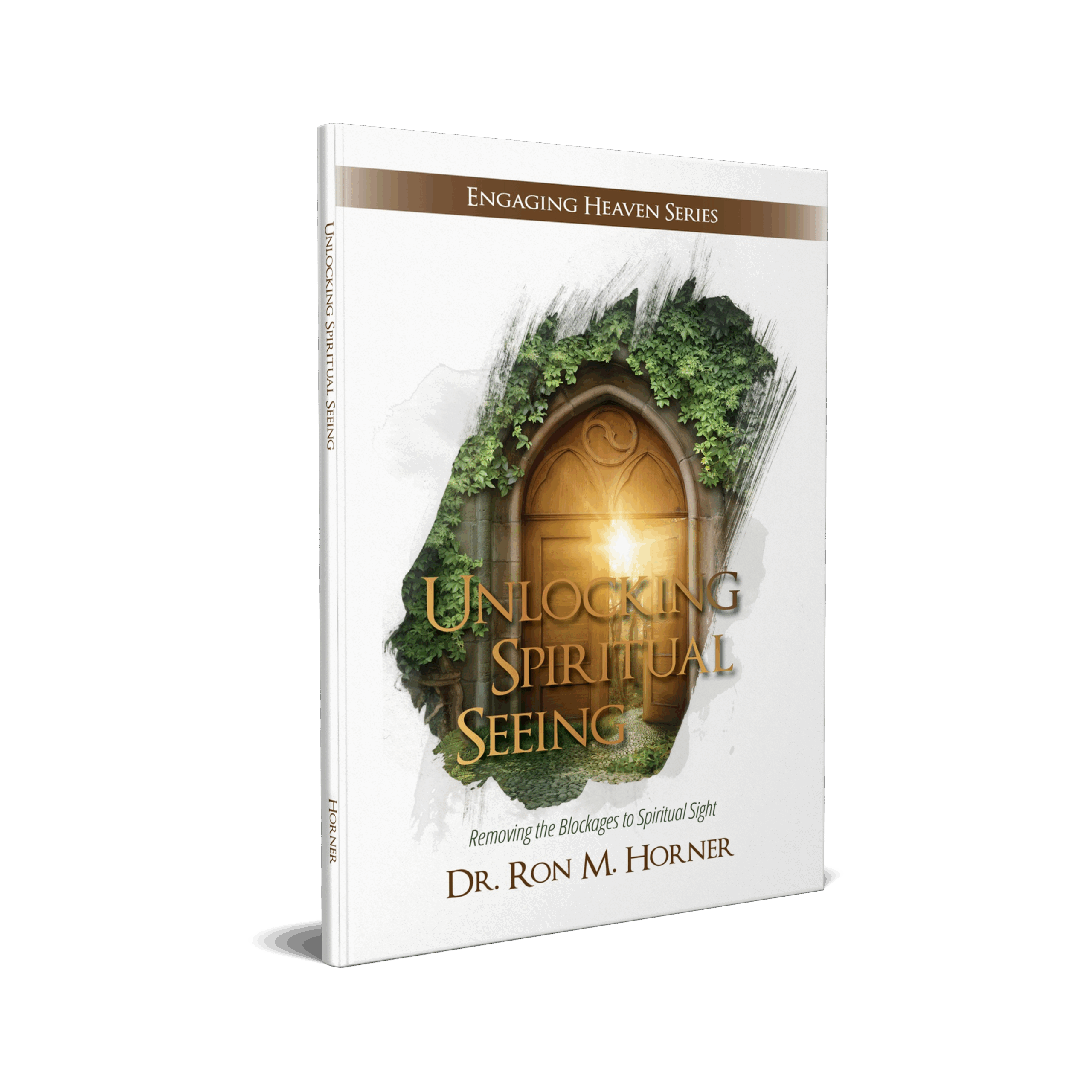 Unlocking Spiritual Seeing (Paperback)