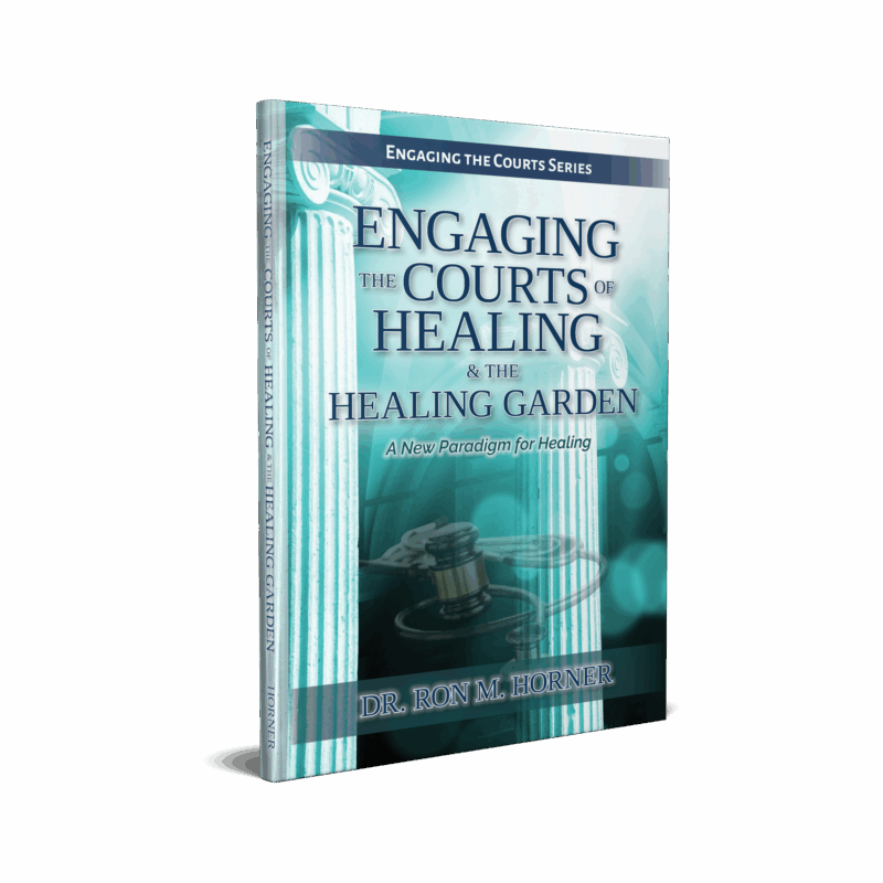 Engaging the Courts of Healing & the Healing Garden (Paperback)