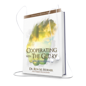 Cooperating with The Glory (Audiobook)