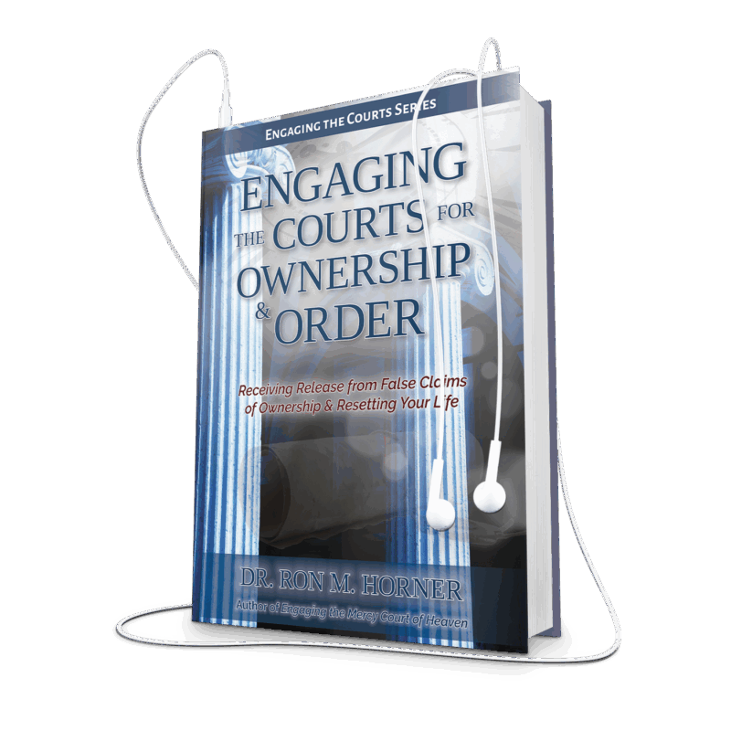Engaging the Courts for Ownership and Order (Audiobook)