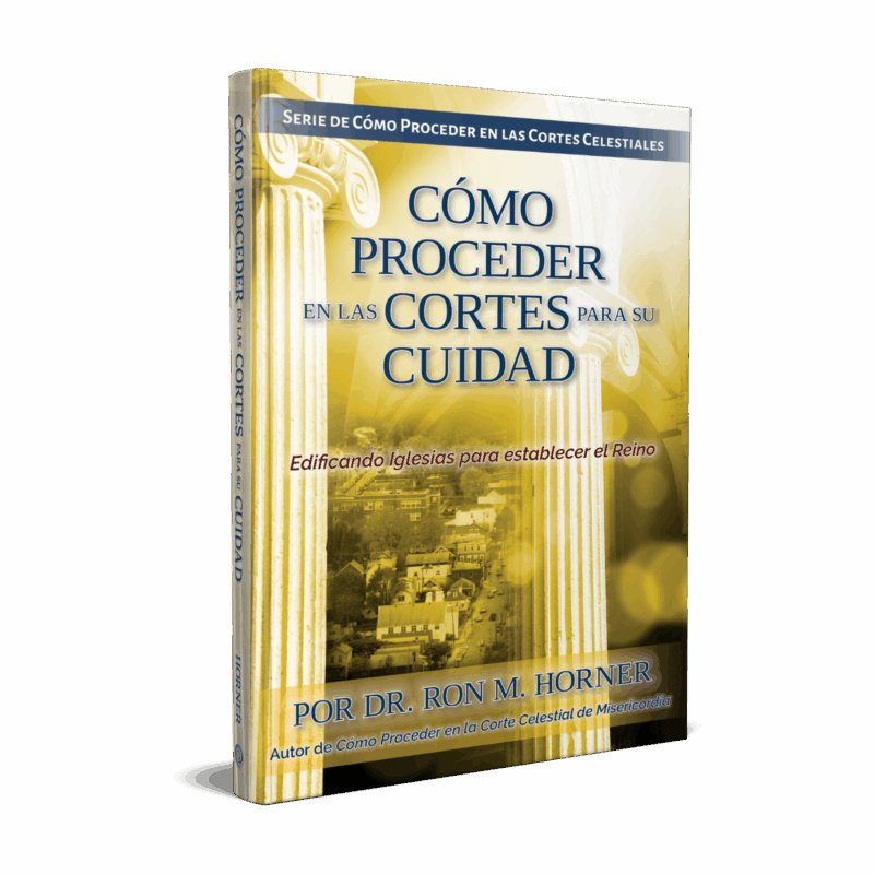 Cómo Proceder en las Cortes para su Ciudad (Libre de Bolsillo)